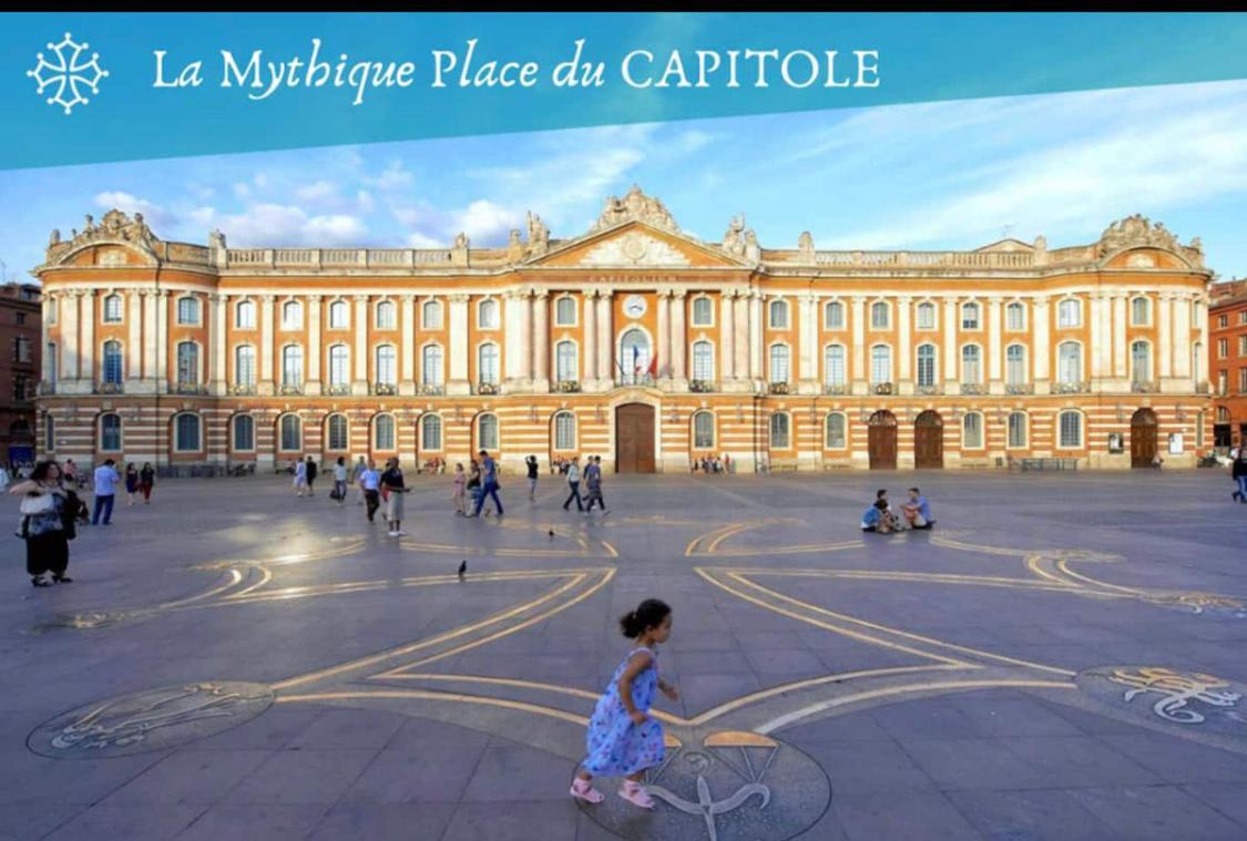 L Oasis Studio Proche Hopital Et Aeroport Piscine Parking &Netflix Toulouse Exterior photo